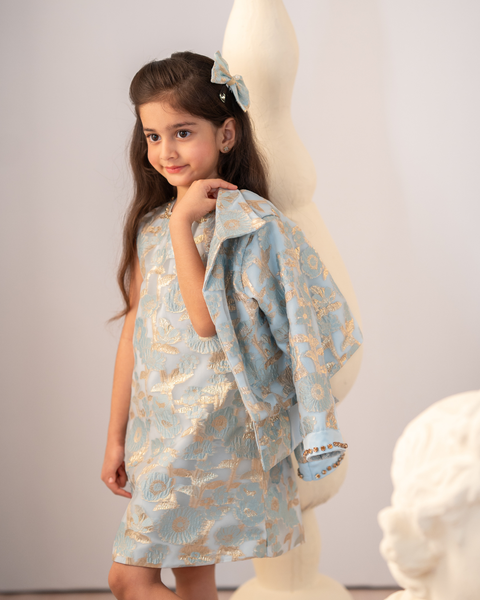 Pre-Order: Jacquard A- line Dress With Jacket