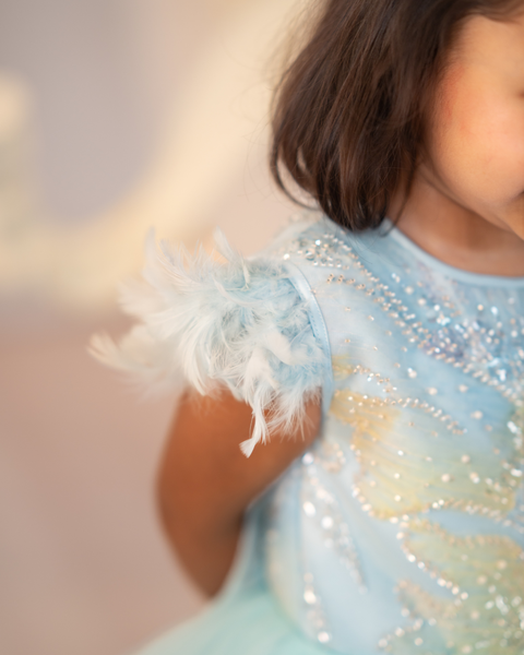 Pre-Order: Blue floral tulle dress