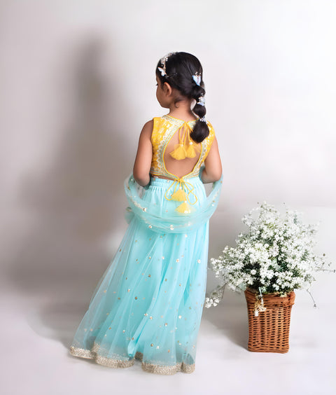 Pre-Order: Yellow Brocade Choli with Lehenga