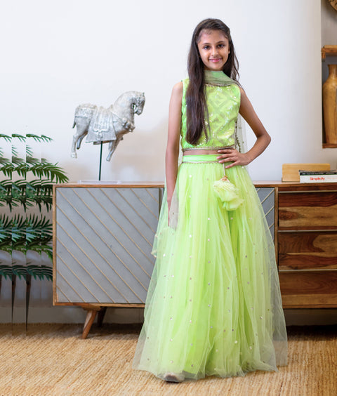 Pre-Order - Green Boti Net Lehenga Set for Girls