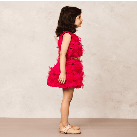 Pre-Order: Pink Net Skirt and Top Combo