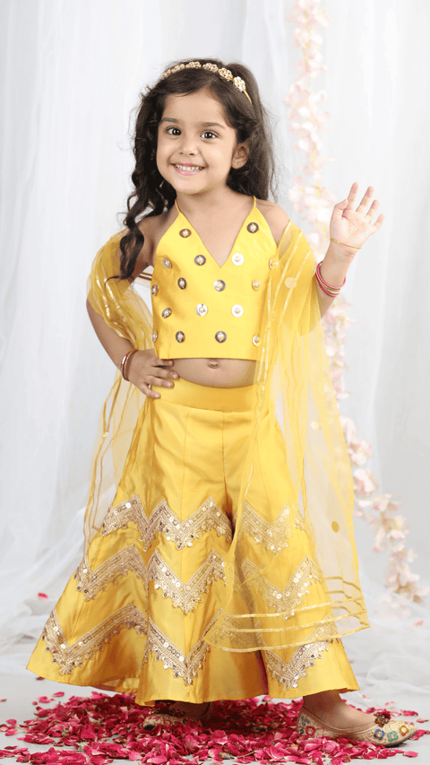 Pre-Order:Embroidered Top with heavy embilleshed plazzo and dupatta