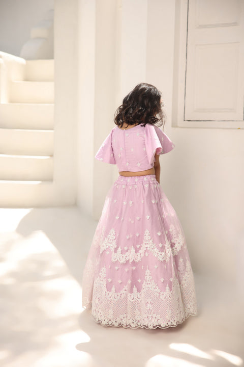 Pre Order: Lilac Embroidred Crop Top Lehenga