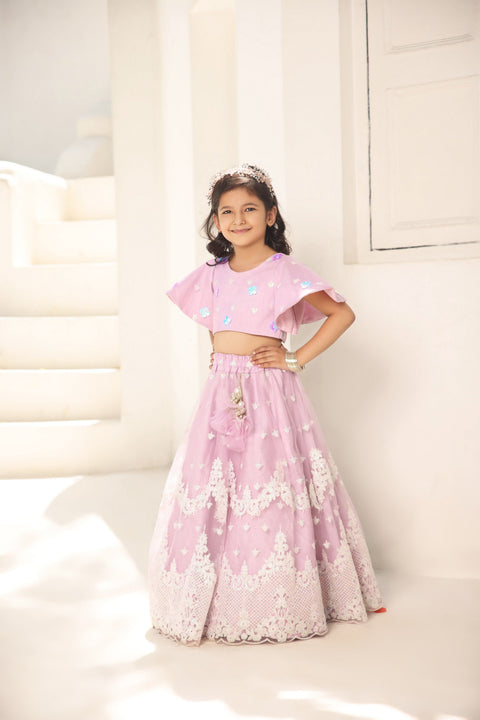 Pre Order: Lilac Embroidred Crop Top Lehenga