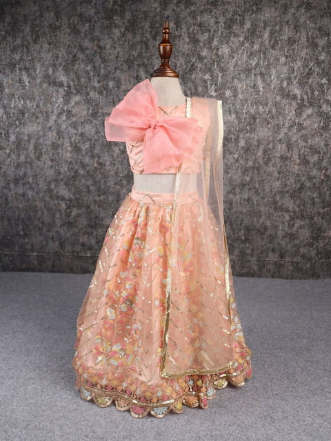 Pre-Order: Classy Multicoloured Embroidered Lehenga