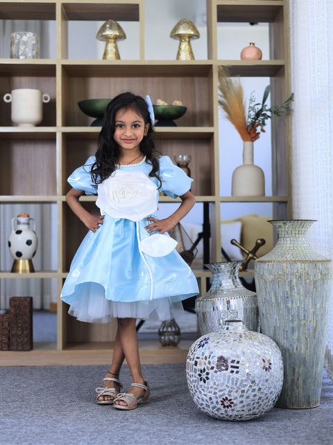 Pre-Order: Blue Flower Dress