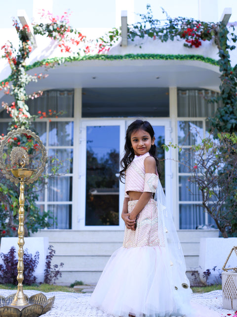 Pre-Order: Pink flared lehenga with sleeve dupatta