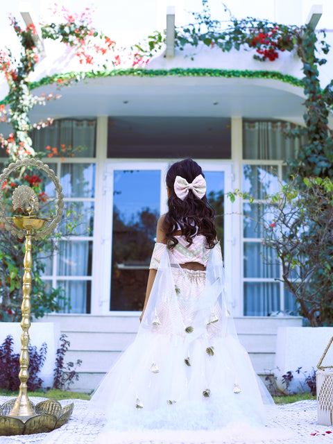 Pre-Order: Pink flared lehenga with sleeve dupatta