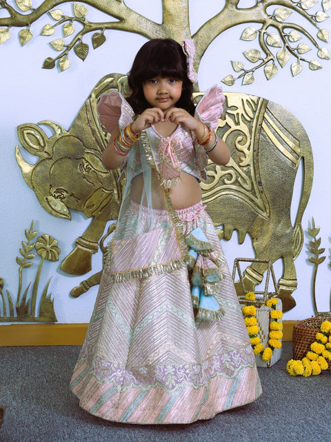 Pre-Order: Heavy embroidered Gota Lace Top and Lehenga