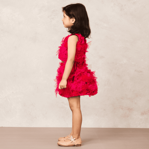 Pre-Order: Pink Net Skirt and Top Combo