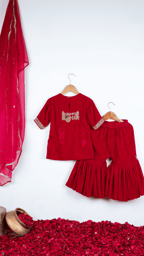 Pre-Order: Rani Pink Velvet Sharara Set