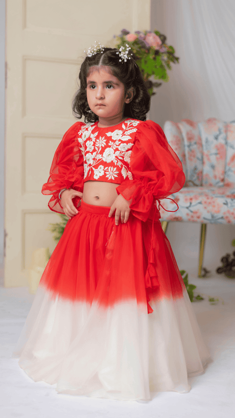 Pre-Order: Red And White Embroidered Blouse With Ghaghra And Dupatta