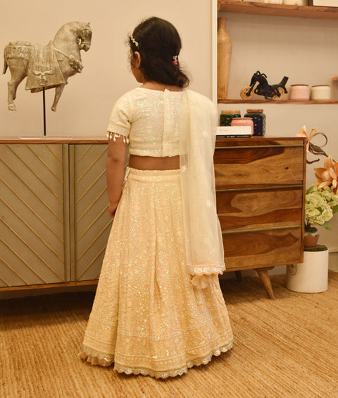 Pre-Order - Beige Lehenga Set for Girls