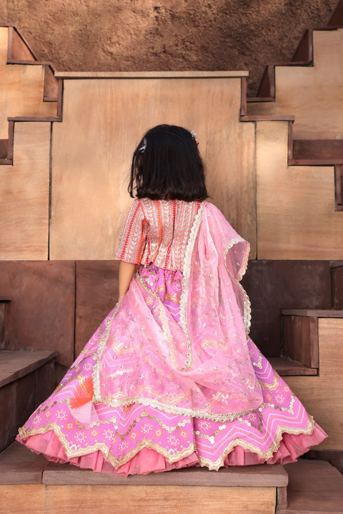 Pre Order: Pink Embroidred Choli with Purple Lehenga