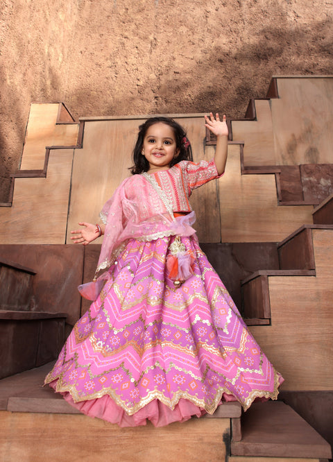 Pre Order: Pink Embroidred Choli with Purple Lehenga