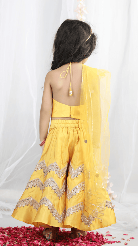 Pre-Order:Embroidered Top with heavy embilleshed plazzo and dupatta