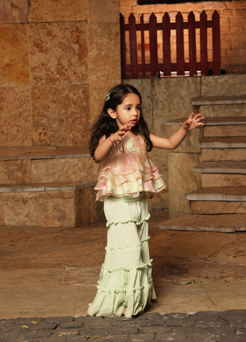 Pre Order: Light Peach Embroidery Top with Sharara