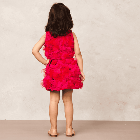 Pre-Order: Pink Net Skirt and Top Combo