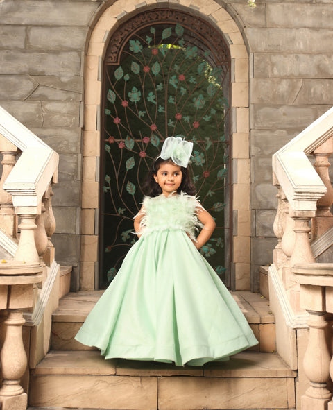 Pre Order: Pista Green Gown with Fur on Yoke