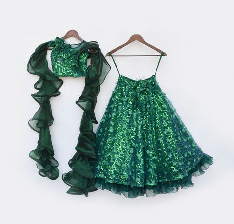 Pre Order: Green Butterfly Choli with Lehenga