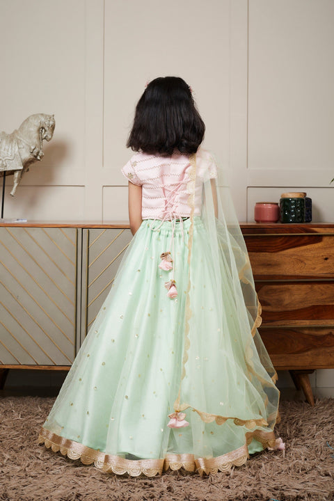 Pre Order: Pink Embroidery Choli And Green Net Lehenga Dupatta Set