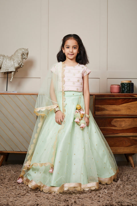 Pre Order: Pink Embroidery Choli And Green Net Lehenga Dupatta Set