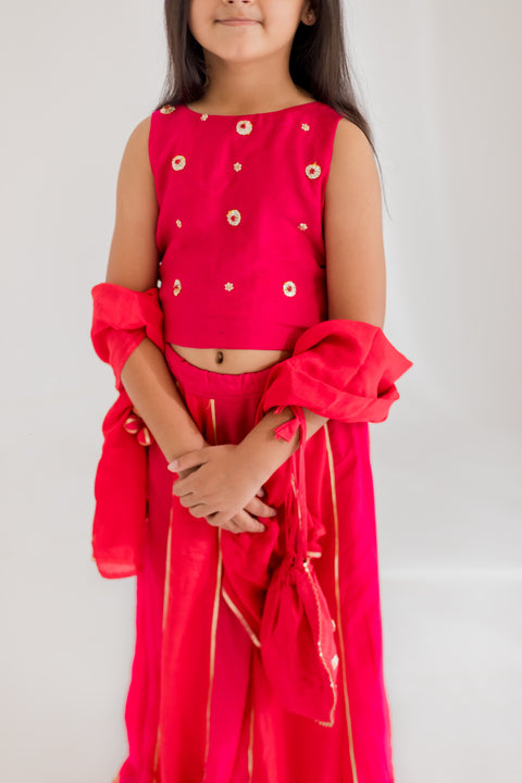 Pre-Order: Pink Chakri Lehenga Set