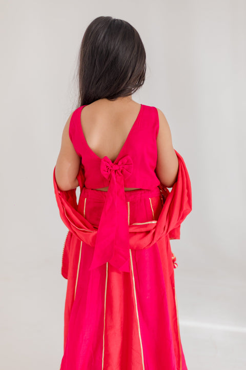 Pre-Order: Pink Chakri Lehenga Set