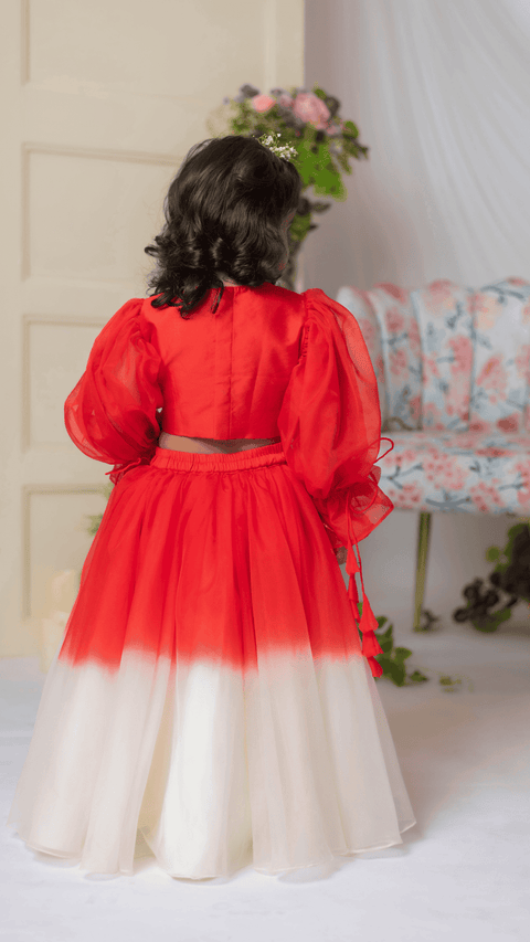 Pre-Order: Red And White Embroidered Blouse With Ghaghra And Dupatta