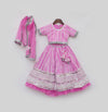 Pre Order: Hot Pink Embroidery Lehenga Choli