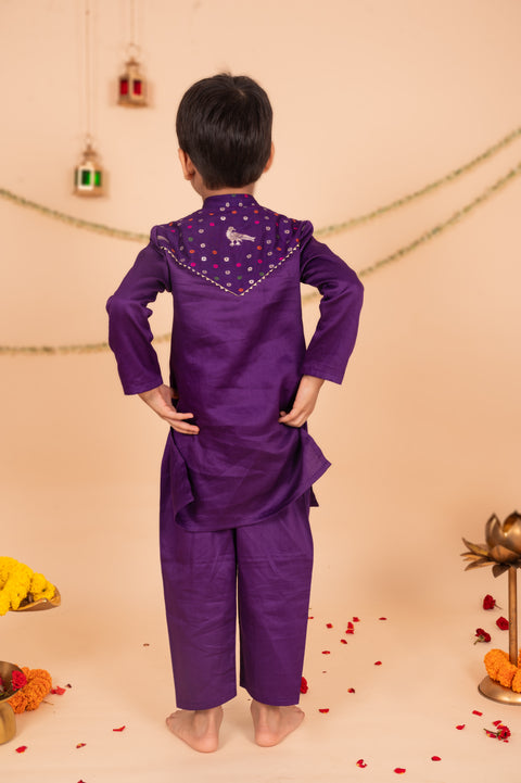 Pre-Order: Parrot Jacket Kurta Set