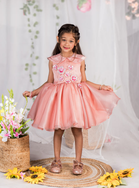 Pre-Order: Whimsical Bloom Dress