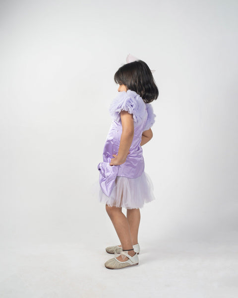 Pre-Order: Elegant A-Line Violet Frock