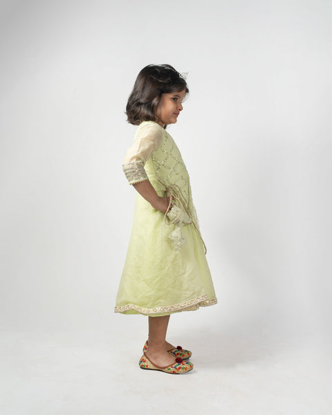 Pre-Order: Sequence Beautiful Anarkali Dress