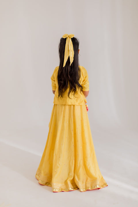 Pre-Order: Sitara Mulsin Lehenga Set