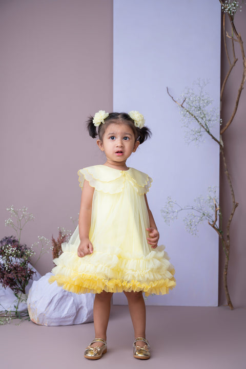Pre-Order: Organza Embroidered Cape Collar Dress in Yellow