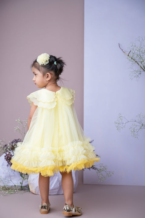 Pre-Order: Organza Embroidered Cape Collar Dress in Yellow