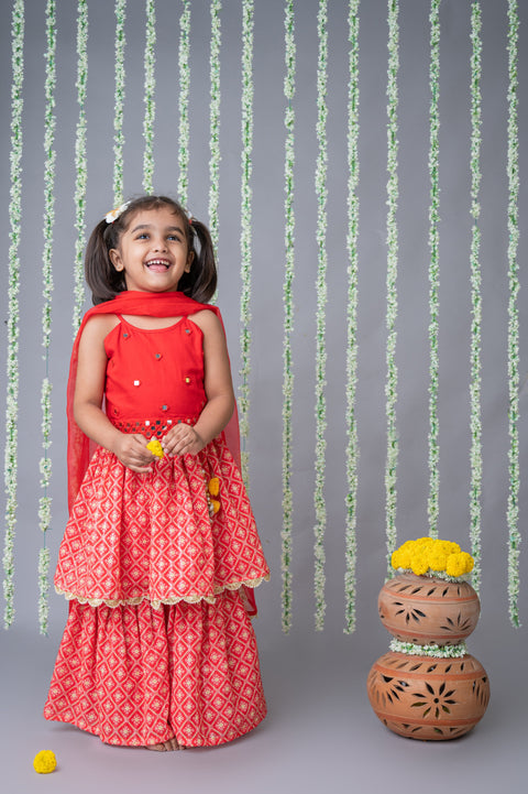 Pre-Order: Mirror embroidered Top with Lehenga and Dupatta