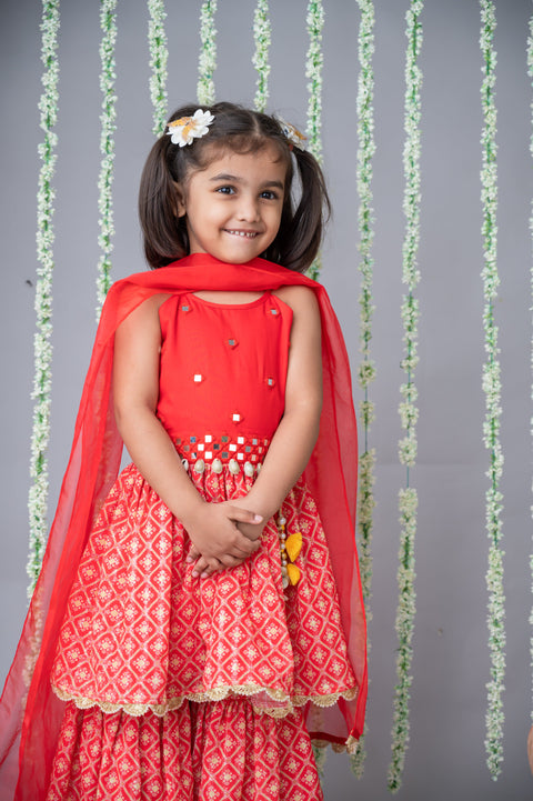 Pre-Order: Mirror embroidered Top with Lehenga and Dupatta
