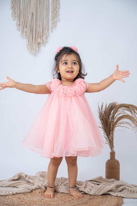 Pre-Order: Rosy Whirl A-Line Dress in Pink