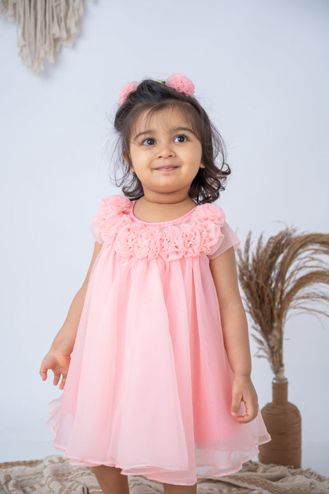 Pre-Order: Rosy Whirl A-Line Dress in Pink