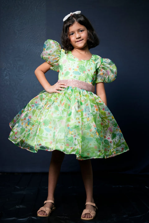 Pre-Order: Green Flower Printed Organza Dress