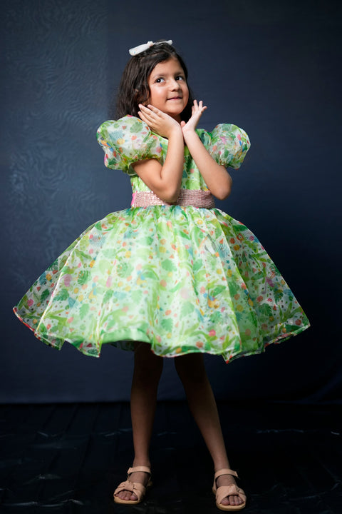 Pre-Order: Green Flower Printed Organza Dress