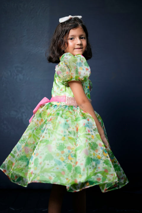 Pre-Order: Green Flower Printed Organza Dress