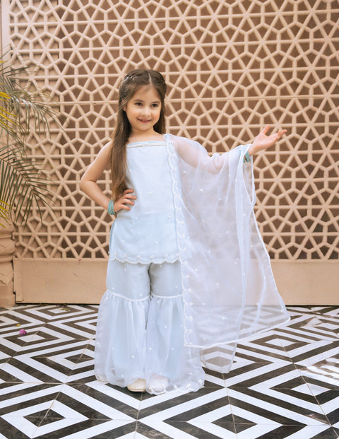 Pre Order : Sky Blue Embroidered Organza Kurti Sharara