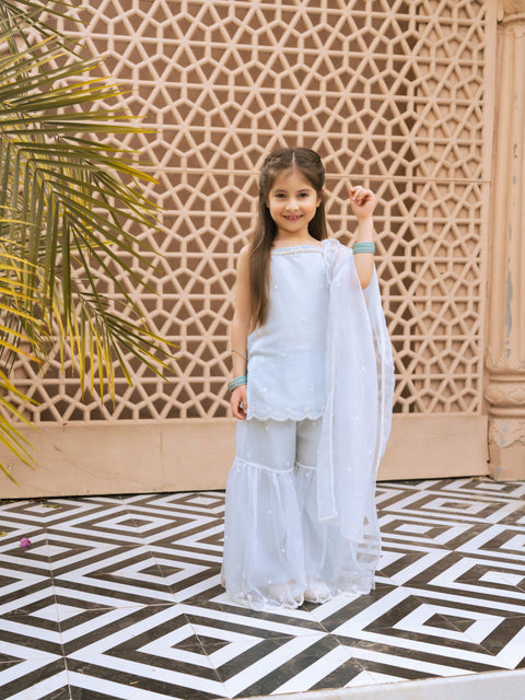 Pre Order : Sky Blue Embroidered Organza Kurti Sharara