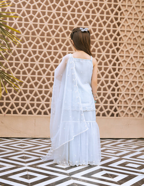 Pre Order : Sky Blue Embroidered Organza Kurti Sharara