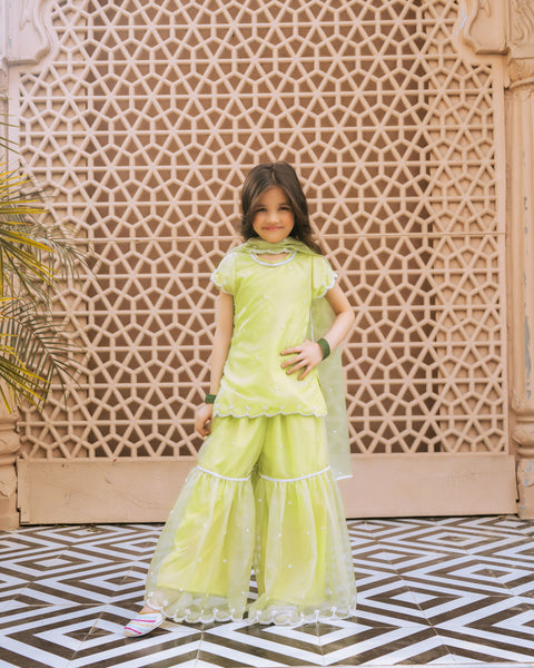 Pre Order : Green Embroidered Organza Kurti Sharara