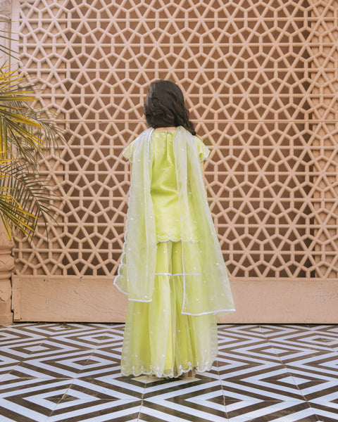 Pre Order : Green Embroidered Organza Kurti Sharara