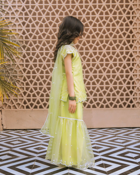 Pre Order : Green Embroidered Organza Kurti Sharara